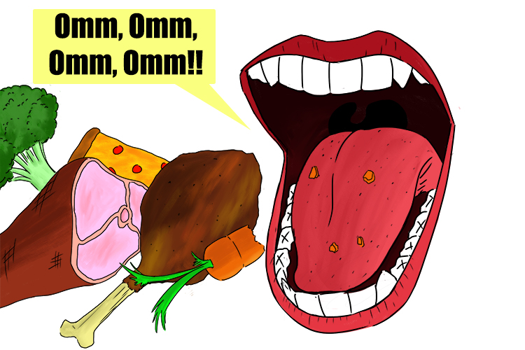 An omnivore is an animal that eats both vegetation and other animals for energy