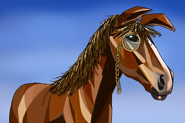 Monocular vision gives animals a wider field of vision but poor depth perception