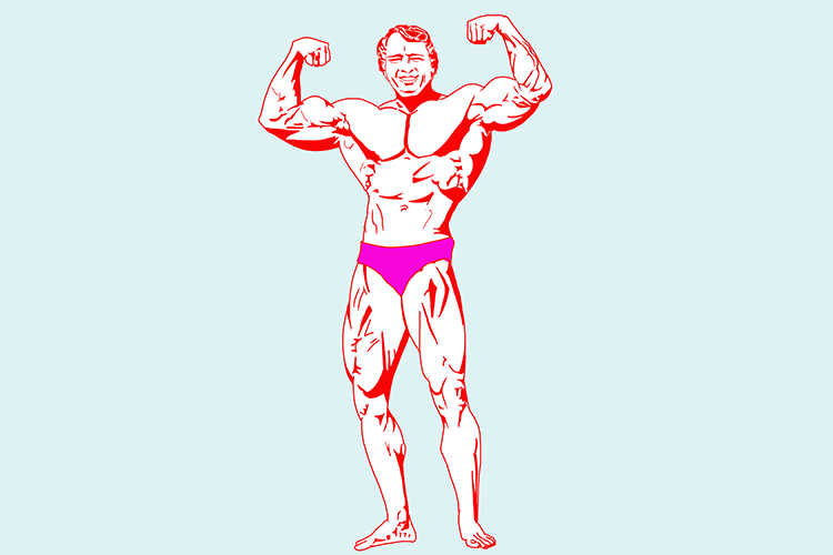 Acquired characteristics can include muscle gained from steroid use and exercise