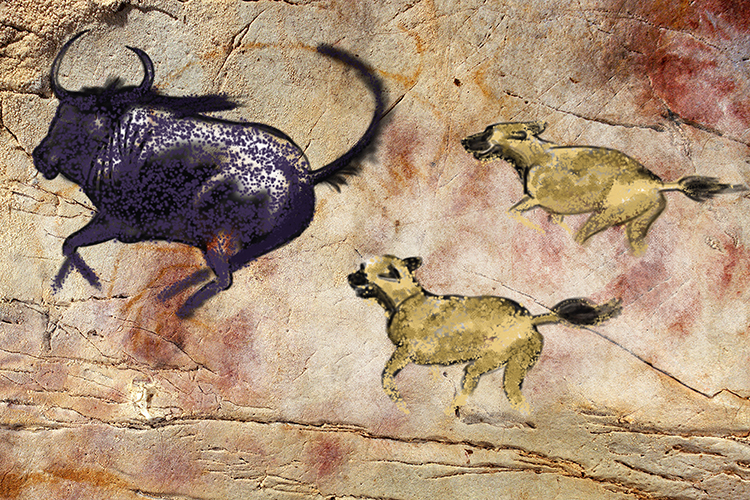 The wild dogs niche in Africa is that it is a long distance predator meaning they exhaust prey over long distances.