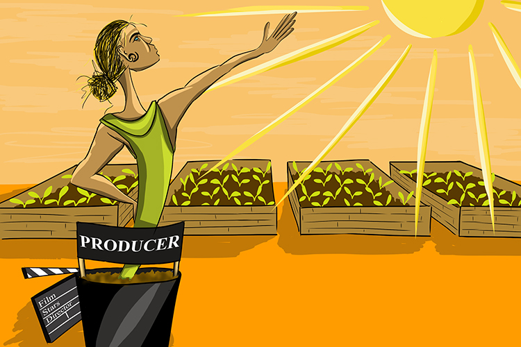 Producers are the first organisms in the food chain that make there own food from the sun