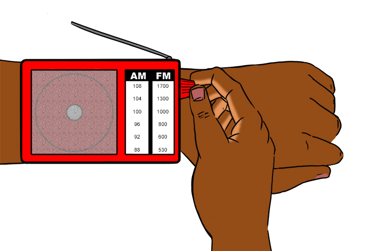 The radius is a long bone found in the arm