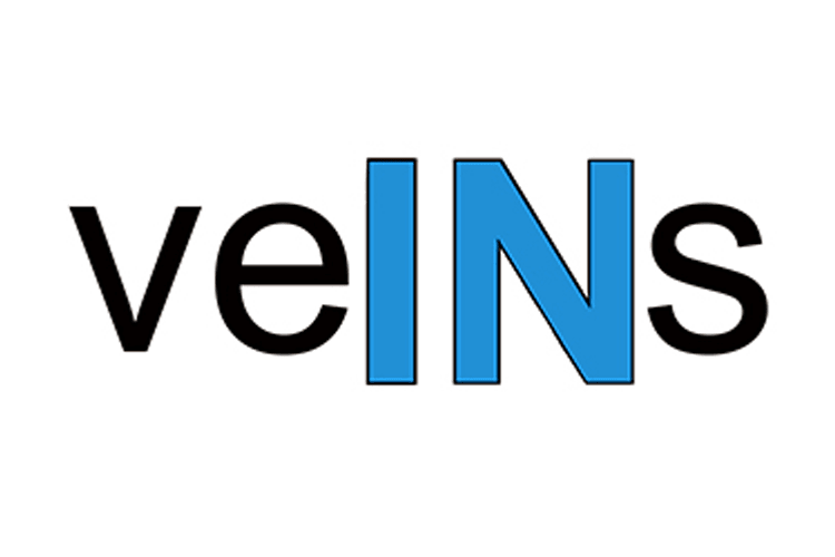 Graphic of the word Veins showing that they bring blood INto the heart