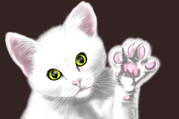 Cations are positively charged where anions are negatively charged