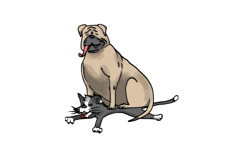 The atomic number is always the smallest number