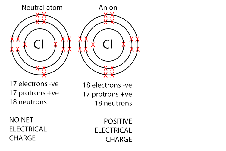 Anions have negative charge because they have more electrons than protons. Non-metals atoms typically gain electrons to form anions.