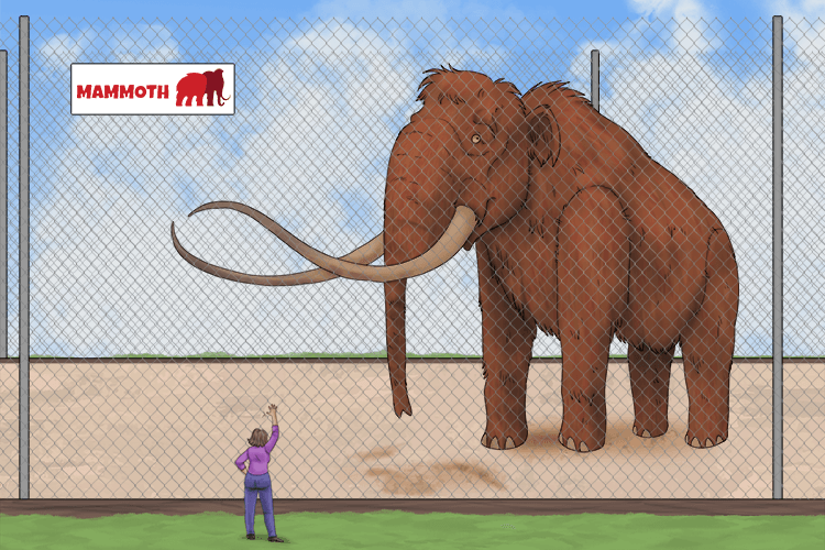 The zoo once focused on the conservation of these massive (conservation of mass) creatures, but now they are all dead. None will ever be lost or gained again.