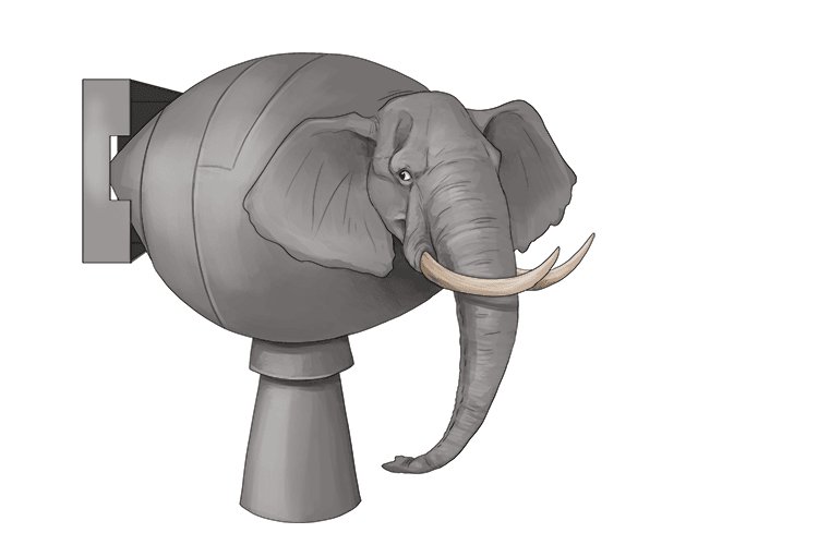 An elephant is only meant (element) to be made of one type of atom bomb.