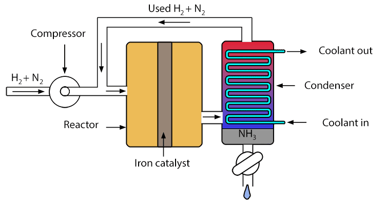 A simplified diagram of how the Haber process works is as follows: