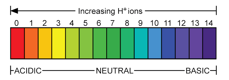 But another way of thinking about the pH scale is in terms of the Power of Hydrogen.
