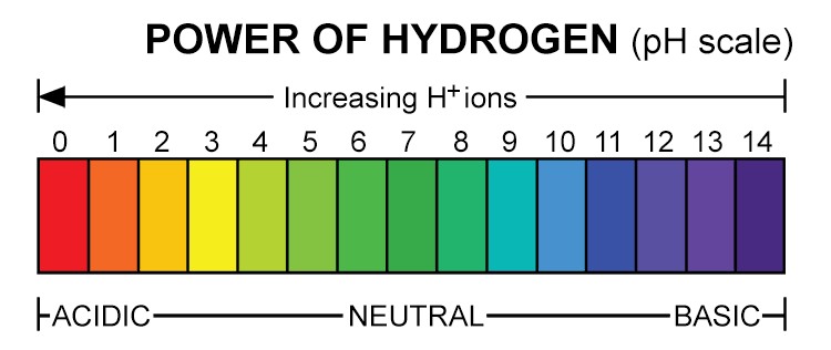 Think of the Power of Hydrogen to remember pH scale. The higher the concentration of hydrogen ions, the more acidic a substance is. 