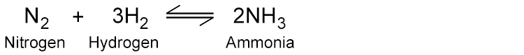 Another common example is the reaction between nitrogen and hydrogen to make ammonia in the Haber process, where ammonia can also break down back into nitrogen and hydrogen.