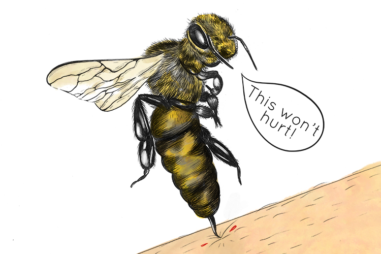 The bee lied (belie) she said it wouldn't hurt. She gave a false impression. 