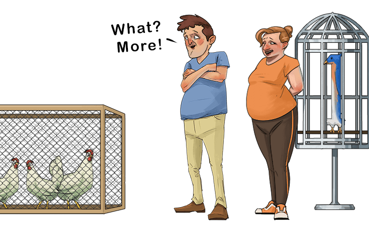 What you have more animals