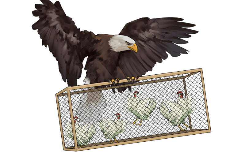 And then at one fell swoop a bird of prey took the cage away