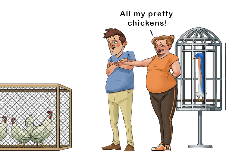 Yes! All my pretty chickens