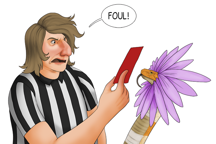The man with the daggers has been tripped by an innocent flower that is actually a snake but the referee shouts "foul" and gives him a red card.