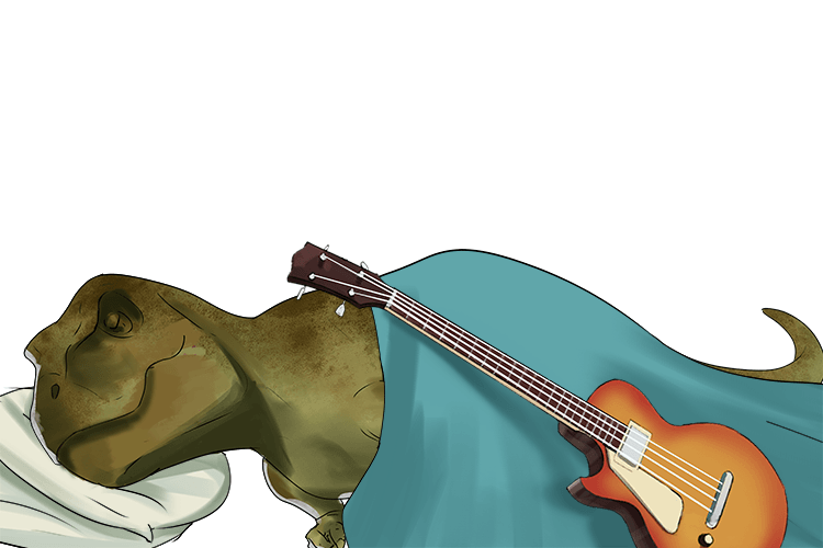 and I will put your bassists guitar down beside you