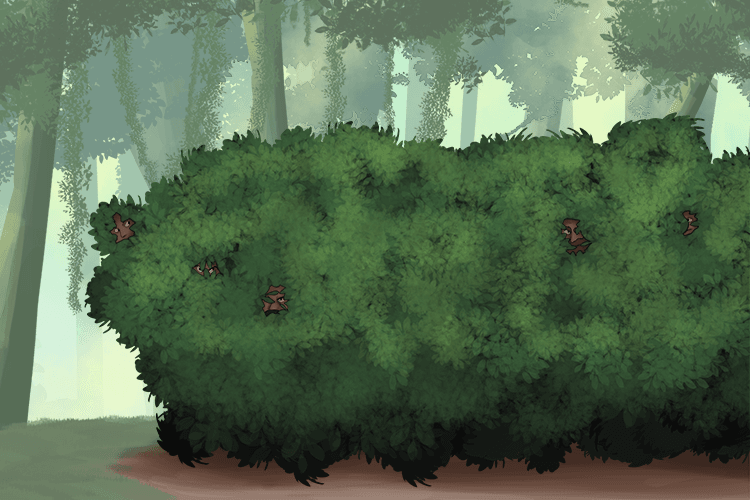 The Scottish forces and the English army have arrived at Birnam Wood.