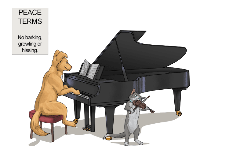 That Bach fellow creates beautiful compositions. It's enabled this cat and dog to agree terms of peace.