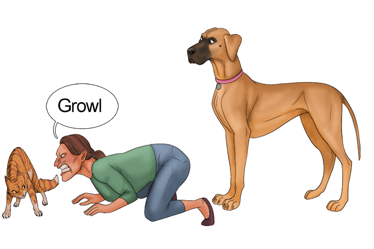 The great dane (deign) thought it beneath her dignity to act like the human,