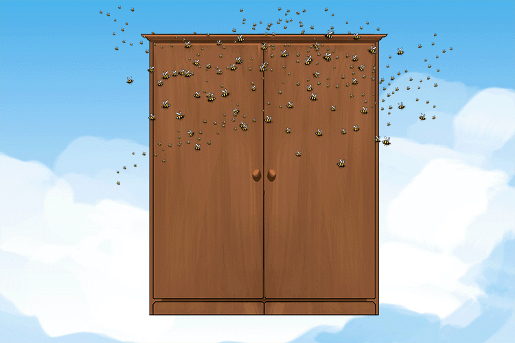 7. They see a wardrobe (SIWARD) dropped from the sky by the bees.
