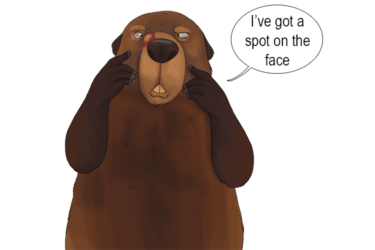 "Out, damned spot! Out, I say!" Lady Macbeth, who once dismissed the murder as easy to forget, is now haunted by it.