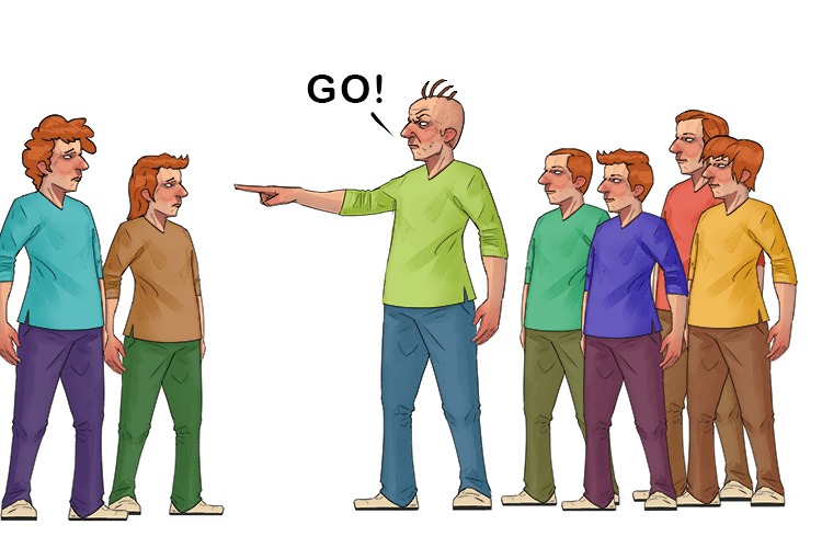 I would not wish to have more