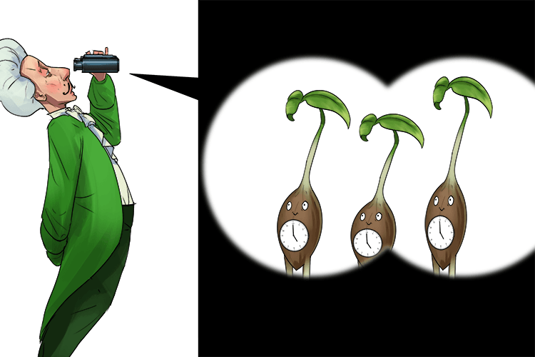 If you can look into the seeds of time