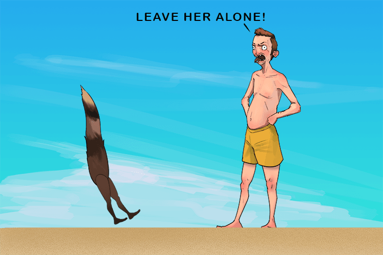 And the tail is told off by an idiot