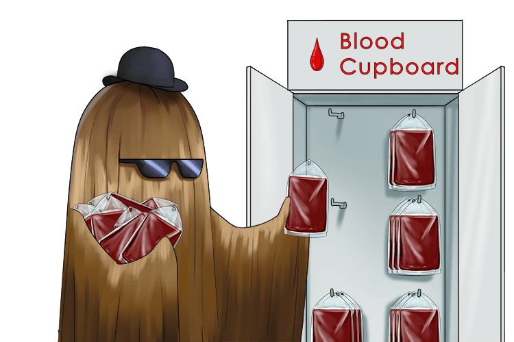 Cousin Itt will have blood