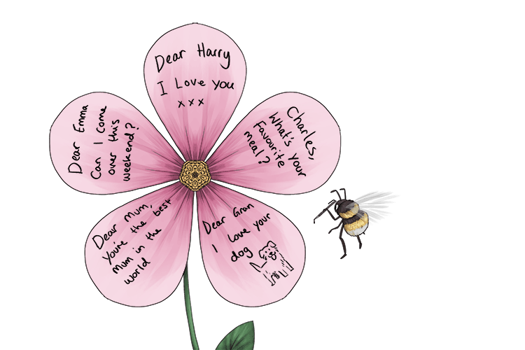 Imagine that someone writes a letter on each of the flowers petals.