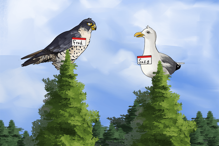 Until great big birds with names (Birnam) that are in the woods