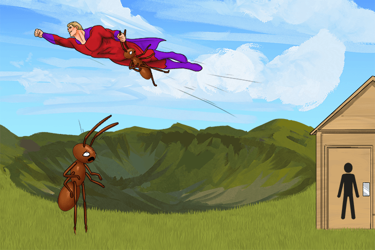 Imagine the 'O' shaped valley with the ant's beside it and one of the heroes swoop down and whisks one of the ants away.