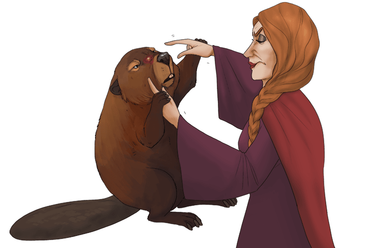 The beaver is trying to pick a spot but imagine a sleepwalking woman trying to do this to the beaver.