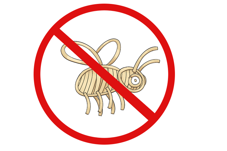 Shall we do a bee? No!