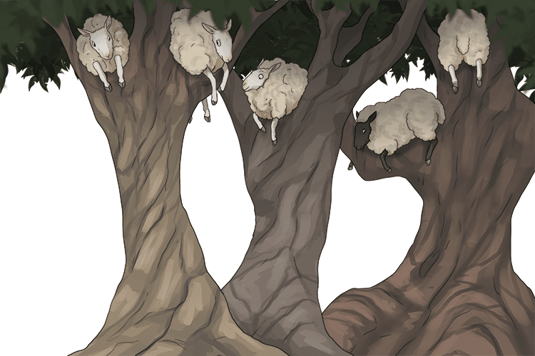 Three (thee) trees have ewes (you) in them.