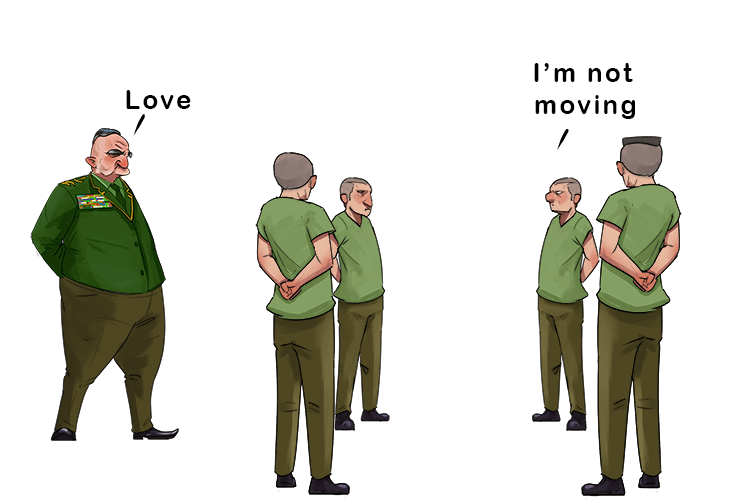 Nothing should move in if I say love