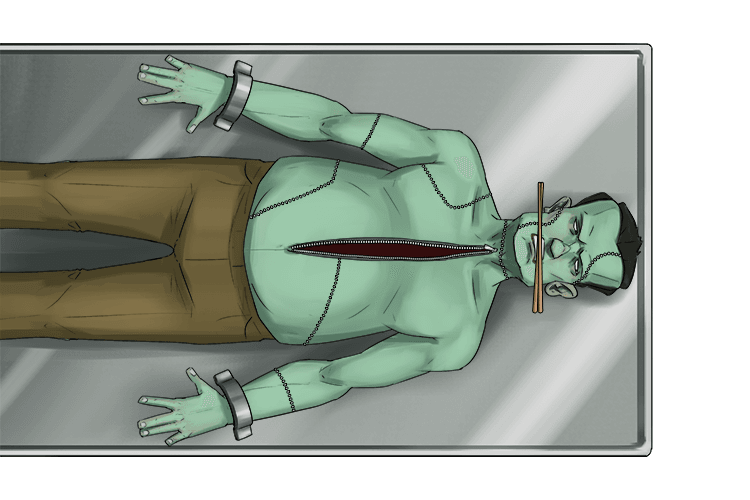 He unseamed him from his navel to the chopsticks