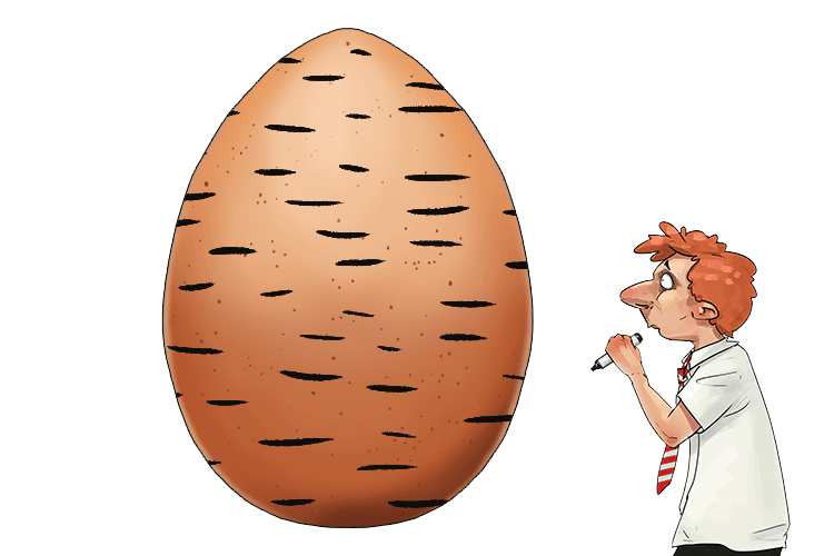 Now see that someone has drawn dashes all over the egg.