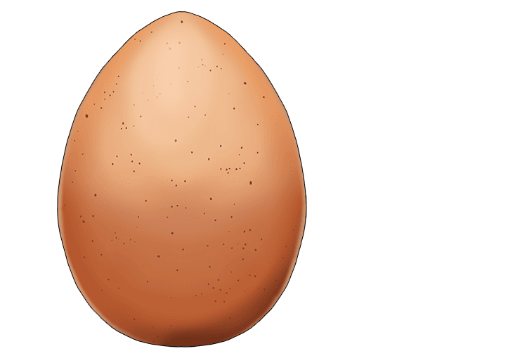 This quotation can be remembered with the single picture of an "egg."