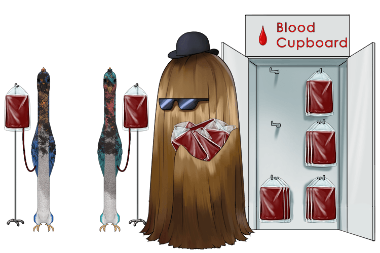 They get the two pretty ones to hospital when "It" gives them blood.