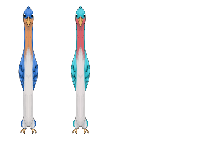 The quotation can be remembered with a single picture of seeing pretty ones which in this case is two beautiful birds.