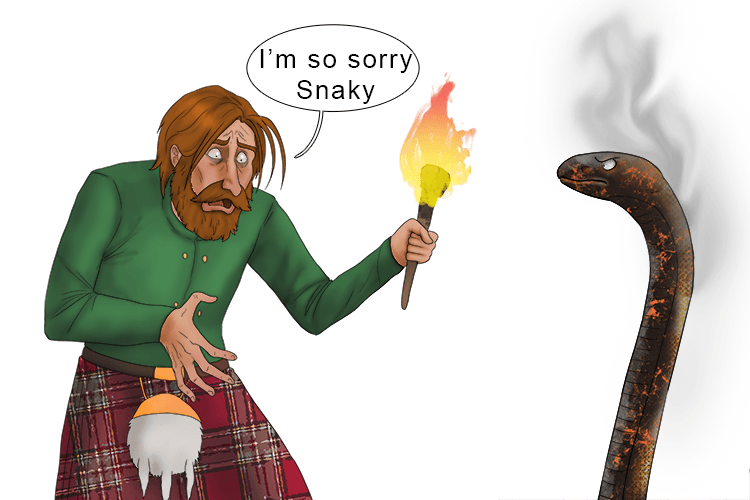 Imagine Macbeth feeling very guilty about scorching the snake.