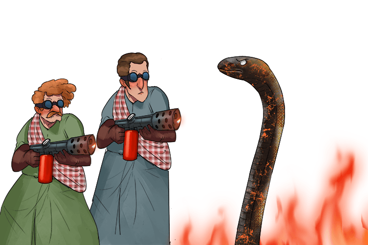 We have scorched the snake but not killed it yet