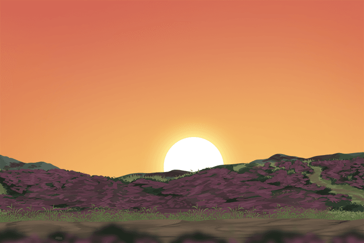 See where the place the sun actually sets is into a heath.