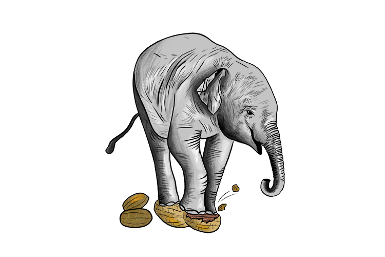 How to remember to spell Kernel. A common mistake when spelling kernel is to end with 'nal' instead of 'nel'.  To make sure you don't do this think of the following:  To get at the kernel, Nelly the elephant would stand on the nut to break the shell. 