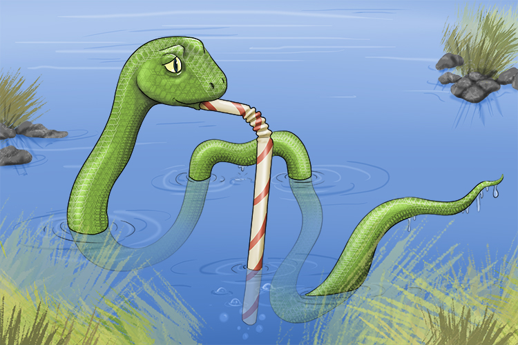 The snake in the lake (slake) lived in the water so that it could satisfy its thirst any time it wanted.