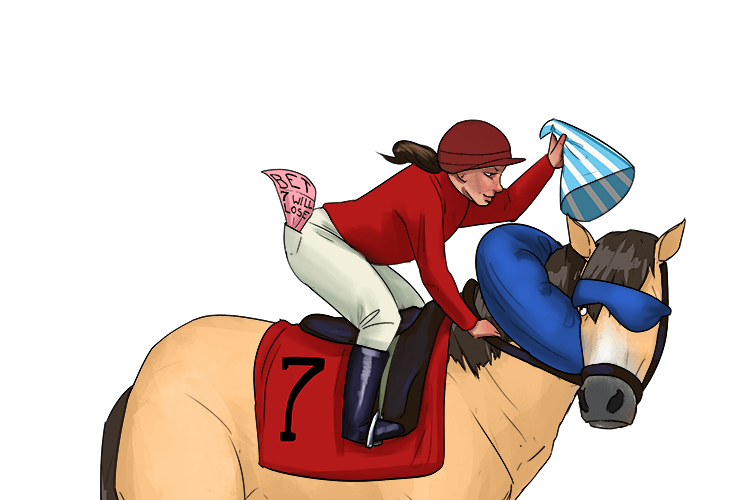 The jockey made a bet (abet) that she would lose and encouraged her horse to slow down. This was totally illegal