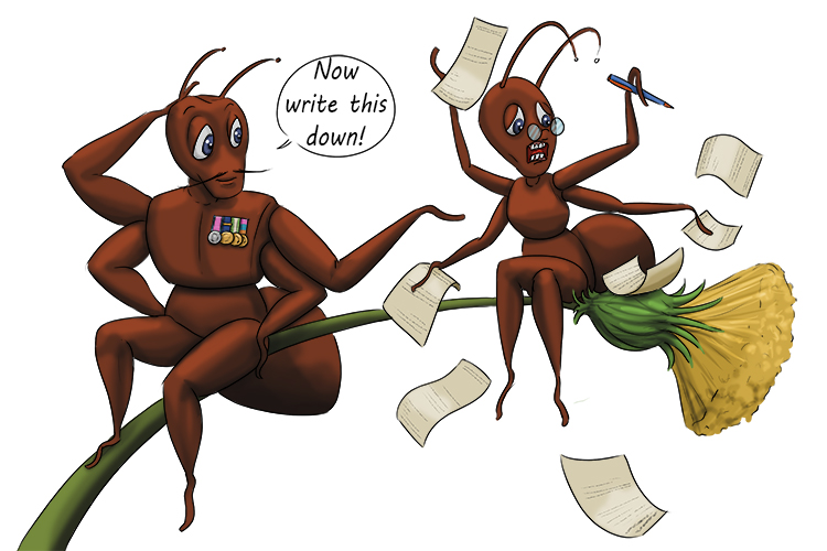 The agitated ant (adjutant) sat next to the commanding officer annoyed that she had to do all of his administration because it was in such a mess.